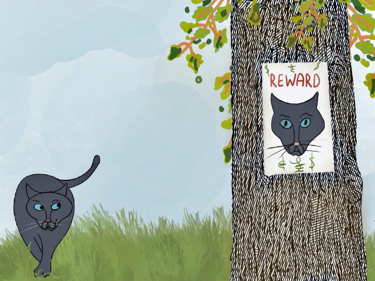 Solomon Takes a Walk - Katie, The Ordinary Witch Listen Free Audiobook MP3 📙 Free Audiobook Websites