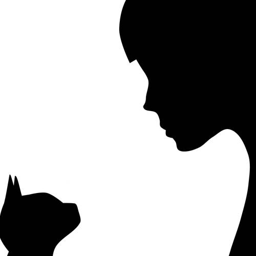 Katie and the Cat Swap: Part 1 - Katie, The Ordinary Witch Listen Free Audiobook MP3 📙 Free Audiobook Websites