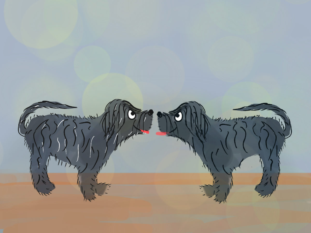 Astropup and the Teletransporter Part 2 - Astropup Listen Free Audiobook MP3 📙 Free Audiobook Websites