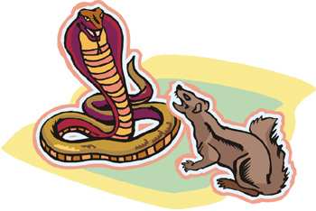 Rikki-tikki-tavi Part One - Rudyard Kipling Listen Free Audiobook MP3 📙 Free Audiobook Websites