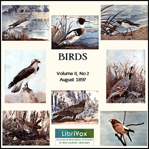 Birds, Vol. II, No 2, August 1897 - Various Listen Free Audiobook MP3 📙 Free Audiobook Websites