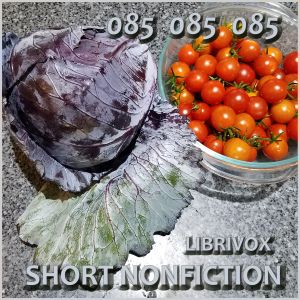 Short Nonfiction Collection, Vol. 085 - Various Listen Free Audiobook MP3 📙 Free Audiobook Websites