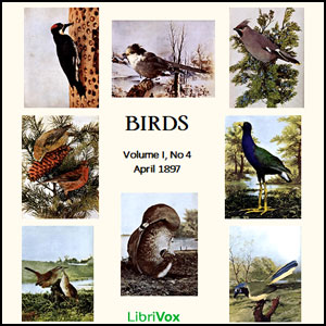 Birds, Vol. I, No 4, April 1897 - Various Listen Free Audiobook MP3 📙 Free Audiobook Websites