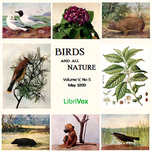 Birds and All Nature, Vol. V, No 5, May 1899 - Various Listen Free Audiobook MP3 📙 Free Audiobook Websites