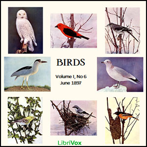 Birds, Vol. I, No 6, June 1897 - Various Listen Free Audiobook MP3 📙 Free Audiobook Websites