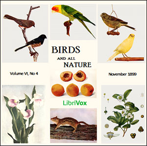 Birds and All Nature, Vol. VI, No 4, November 1899 - Various Listen Free Audiobook MP3 📙 Free Audiobook Websites