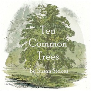 Ten Common Trees - Susan STOKES Listen Free Audiobook MP3 📙 Free Audiobook Websites