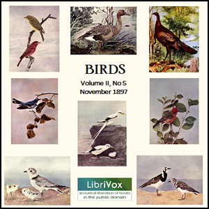Birds, Vol. II, No 5, November 1897 - Various Listen Free Audiobook MP3 📙 Free Audiobook Websites
