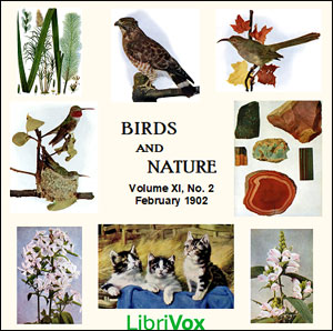 Birds and Nature, Vol. XI, No 2, February 1902 - Various Listen Free Audiobook MP3 📙 Free Audiobook Websites