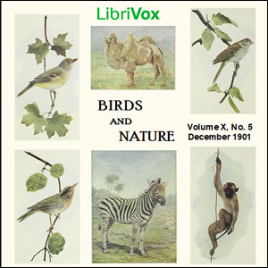 Birds and Nature, Vol. X, No 5, December 1901 - Various Listen Free Audiobook MP3 📙 Free Audiobook Websites