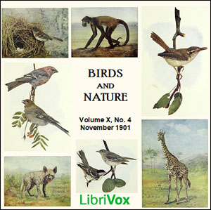 Birds and Nature, Vol. X, No 4, November 1901 - Various Listen Free Audiobook MP3 📙 Free Audiobook Websites
