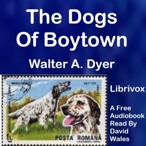 The Dogs Of Boytown - Walter Alden Dyer Listen Free Audiobook MP3 📙 Free Audiobook Websites