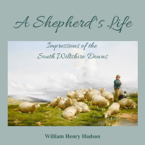 A Shepherd's Life; Impressions Of The South Wiltshire Downs - William Henry HUDSON Listen Free Audiobook MP3 📙 Free Audiobook Websites