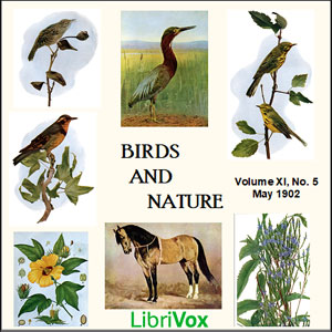 Birds and Nature, Vol. XI, No 5, May 1902 - Various Listen Free Audiobook MP3 📙 Free Audiobook Websites