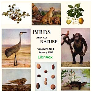 Birds and All Nature, Vol. V, No 1, January 1899 - Various Listen Free Audiobook MP3 📙 Free Audiobook Websites