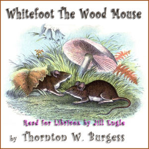 Whitefoot the Wood Mouse - Thornton W. Burgess Listen Free Audiobook MP3 📙 Free Audiobook Websites