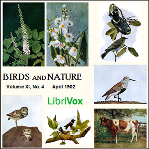 Birds and Nature, Vol. XI, No 4, April 1902 - Various Listen Free Audiobook MP3 📙 Free Audiobook Websites