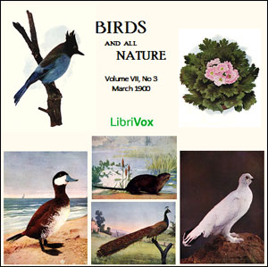 Birds and All Nature, Vol. VII, No 3, March 1900 - Various Listen Free Audiobook MP3 📙 Free Audiobook Websites