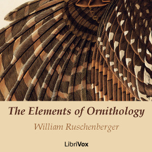 The Elements of Ornithology - William Ruschenberger Listen Free Audiobook MP3 📙 Free Audiobook Websites