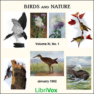 Birds and Nature, Vol. XI, No 1, January 1902 - Various Listen Free Audiobook MP3 📙 Free Audiobook Websites