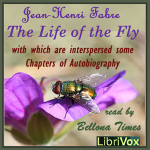 The Life of the Fly, With Which are Interspersed Some Chapters of Autobiography - Jean-Henri FABRE Listen Free Audiobook MP3 📙 Free Audiobook Websites