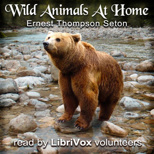 Wild Animals At Home - Ernest Thompson Seton Listen Free Audiobook MP3 📙 Free Audiobook Websites