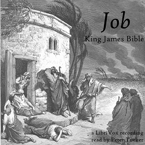 Bible (KJV) 18: Job (version 2) - King James Version Listen Free Audiobook MP3 📙 Free Audiobook Websites