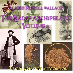The Malay Archipelago, Vol. 2 - Alfred Russel WALLACE Listen Free Audiobook MP3 📙 Free Audiobook Websites
