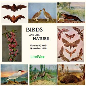Birds and All Nature, Vol. IV, No 5, November 1898 - Various Listen Free Audiobook MP3 📙 Free Audiobook Websites