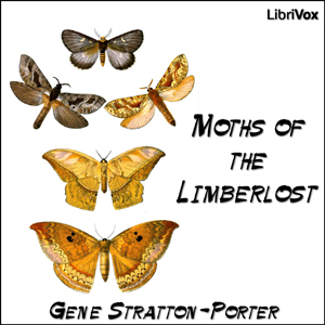 Moths of the Limberlost - Gene STRATTON-PORTER Listen Free Audiobook MP3 📙 Free Audiobook Websites