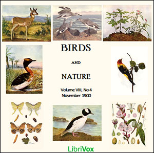 Birds and Nature, Vol. VIII, No 4, November 1900 - Various Listen Free Audiobook MP3 📙 Free Audiobook Websites