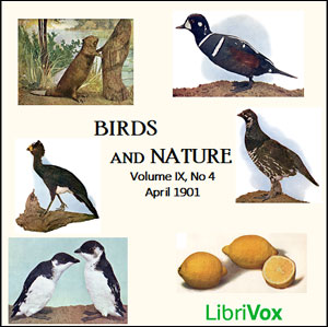 Birds and Nature, Vol. IX, No 4, April 1901 - Various Listen Free Audiobook MP3 📙 Free Audiobook Websites