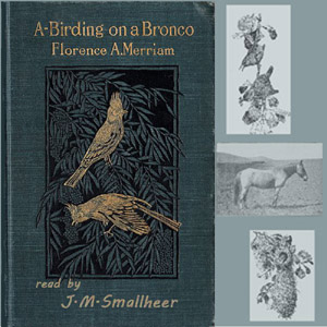 A-Birding on a Bronco - Florence A. MERRIAM Listen Free Audiobook MP3 📙 Free Audiobook Websites