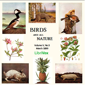 Birds and All Nature, Vol. V, No 3, March 1899 - Various Listen Free Audiobook MP3 📙 Free Audiobook Websites