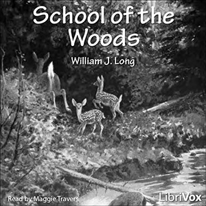 School of The Woods - William J. Long Listen Free Audiobook MP3 📙 Free Audiobook Websites