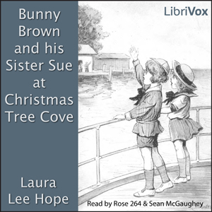 Bunny Brown and his Sister Sue at Christmas Tree Cove - Laura Lee Hope Listen Free Audiobook MP3 📙 Free Audiobook Websites