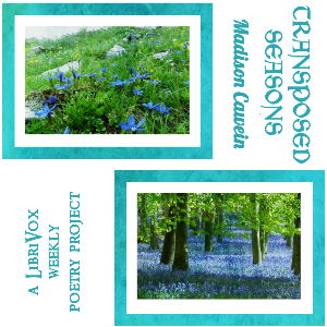 Transposed Seasons - Madison Cawein Listen Free Audiobook MP3 📙 Free Audiobook Websites